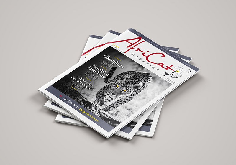 stck of AfriCat UK magazines